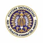 Университет Ататюрка 