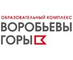 ГБОУ «Воробьевы горы»