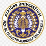 Университет Ататюрка (Турция)