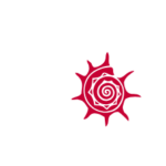 Дарвиновский музей 