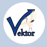 ГБОУ «Школа № 1354 «Вектор»