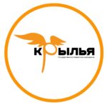 Центр детских и молодежных социальных инициатив «Крылья»
